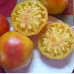 Семена томата Hillbilly bi-color
