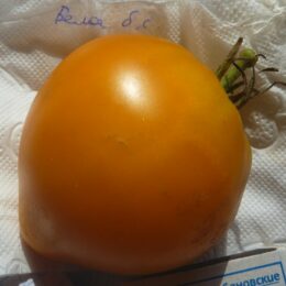 Семена томата Белое Бычье сердце