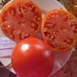Семена томата Бычье Сердце Дедушкино