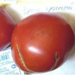 Семена томата Чероки ранний красный