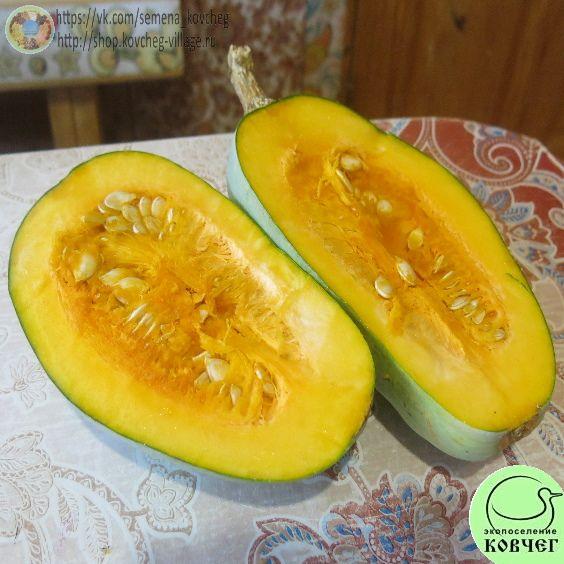 Якима_1 Семена тыквы Якима