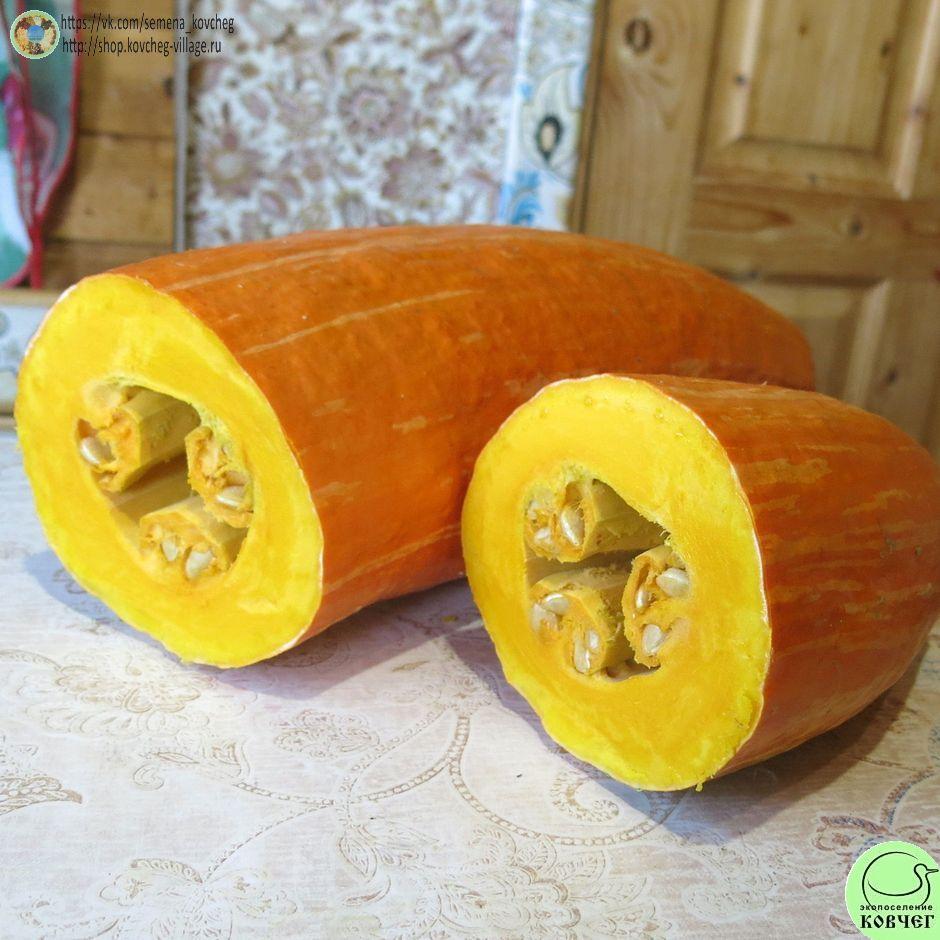 -т9. Тыква Гете окосомин (12)_1_1 Семена тыквы Гете окосомин