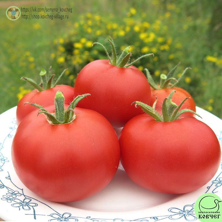 22. Мармеладный (6)_1_1 Семена томата Мармеладный