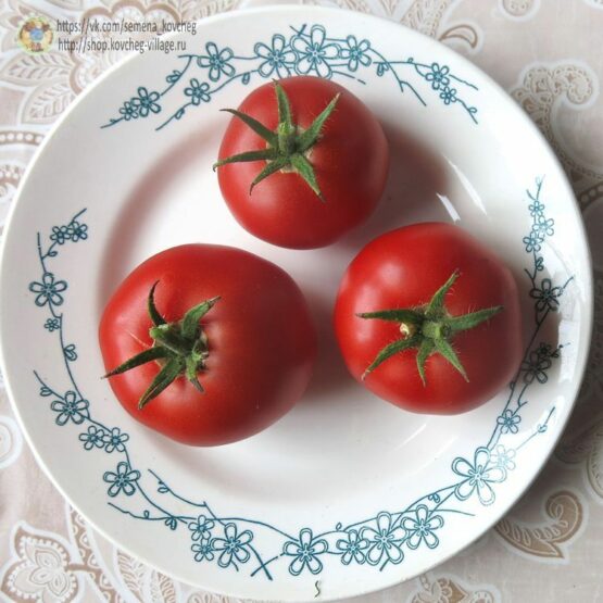 Семена томата Мармеладный