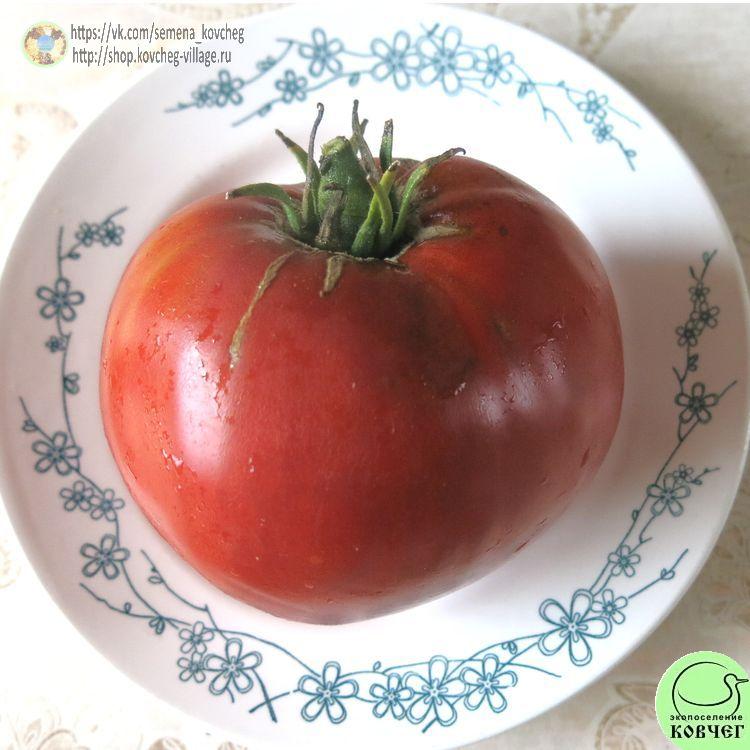 45. Шпаковский (3)_1_1 Семена томата Шпаковский