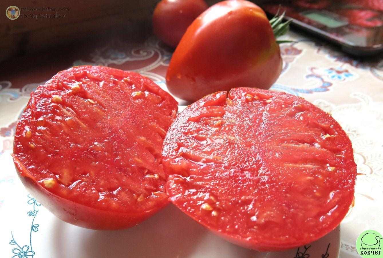 45. Шпаковский (7)_1_1 Семена томата Шпаковский