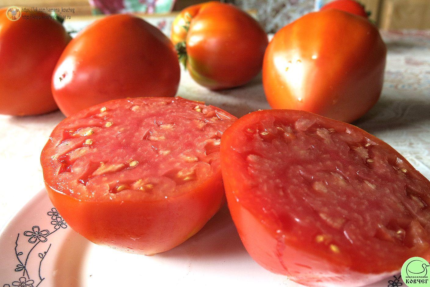 5. Богота (19)_1_1 Семена томата Богота