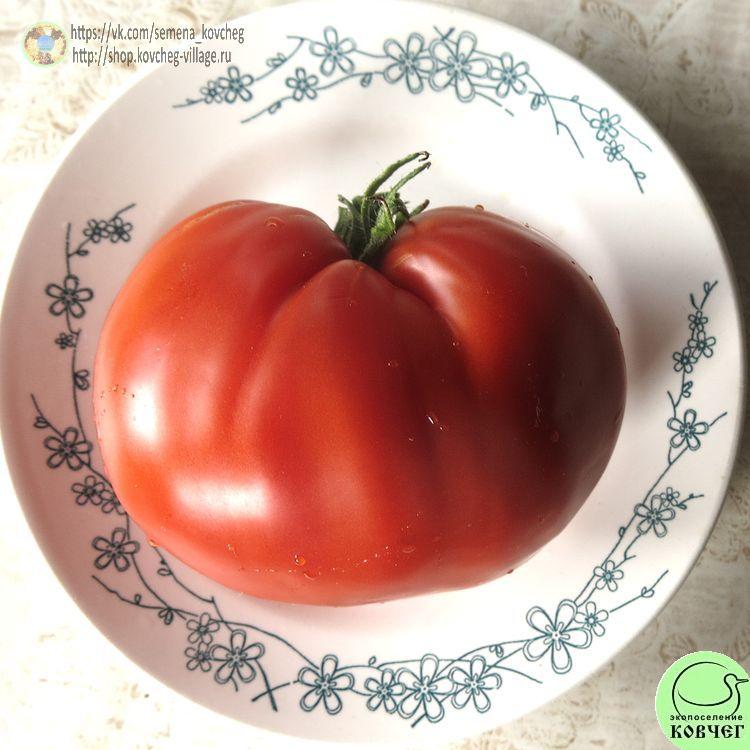 5. Богота (7)_1_1 Семена томата Богота