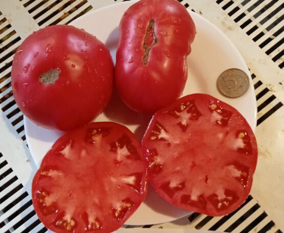 Семена томата Казанский местный