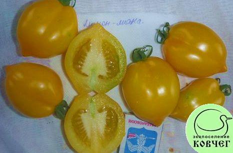 Семена томата Лимон-Лиана