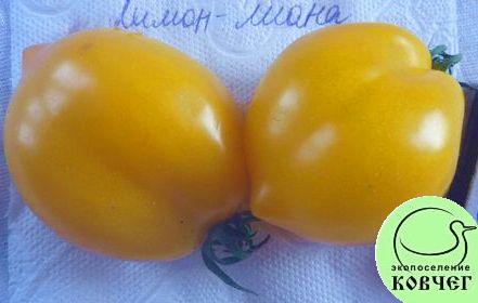 Семена томата Лимон-Лиана