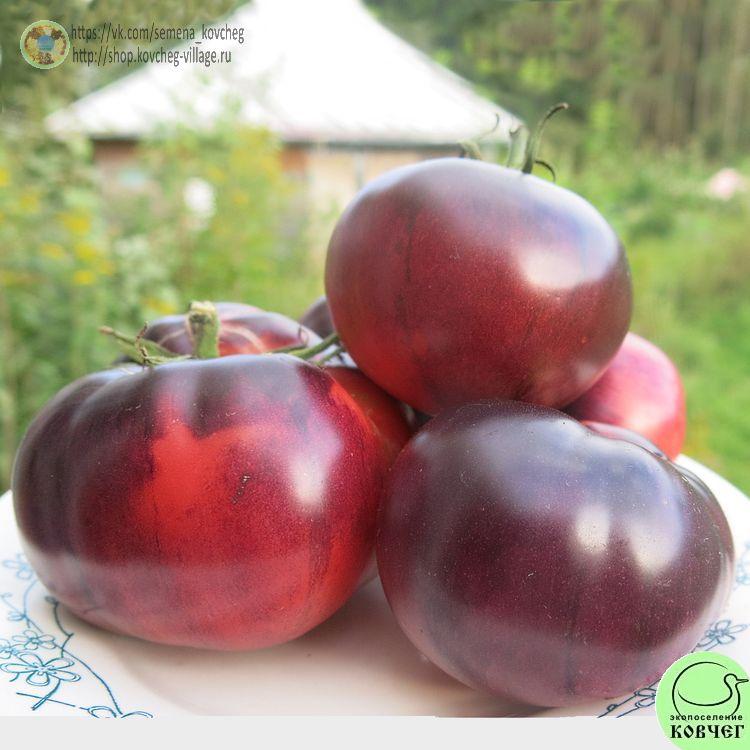 Розовый сибирский тигр_1_1 Семена томата Розовый Сибирский тигр