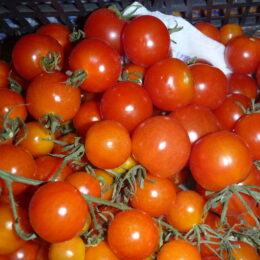 Семена томата Черри Белорусские