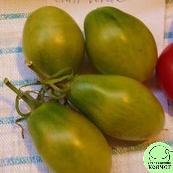 Семена томата Чили Верде