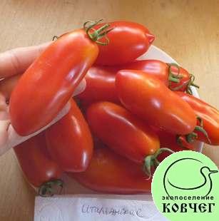 Семена томата Итальянские