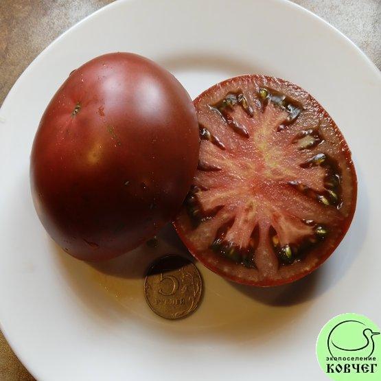 Семена томата Крымская Ночь