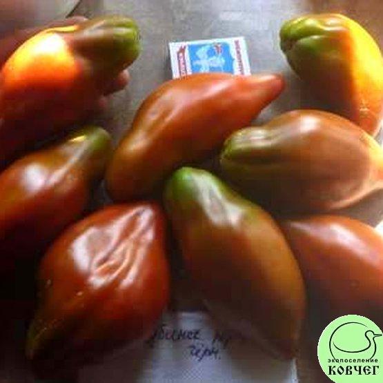 Семена томата Кубинский перцевидный чёрный