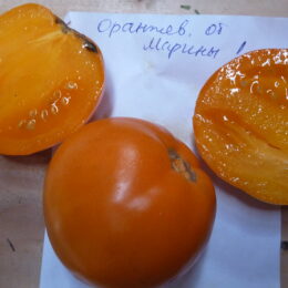Семена томата Оранжевый от Марины