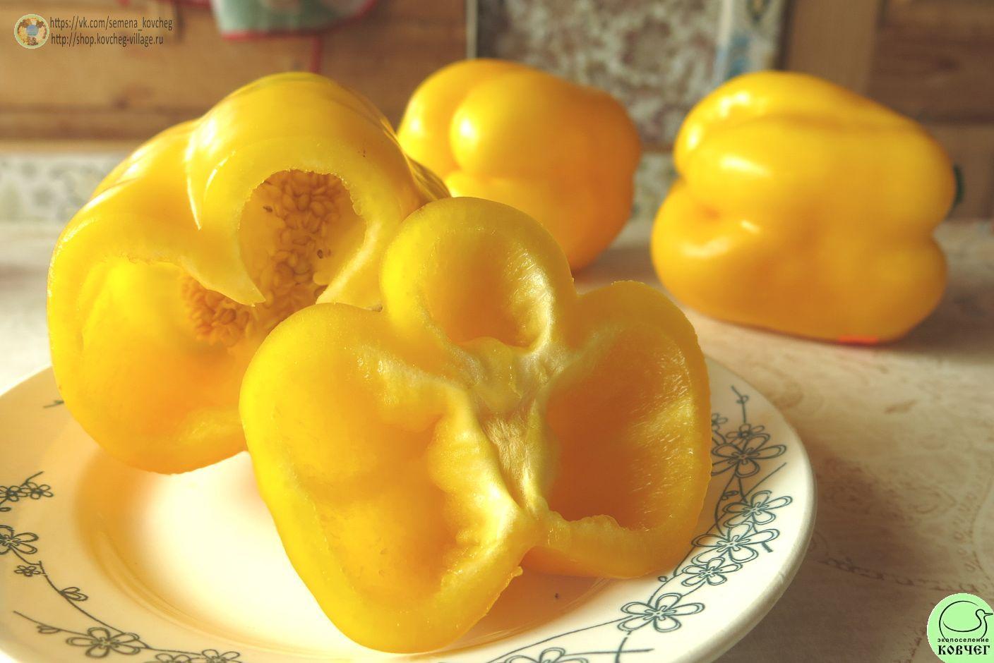 п14. Кубок золотой (12)_1_1 2021г. Семена перца сладкого Кубок золотой