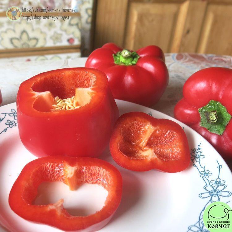 п20. Ратунда (11)_1_1 2021г. Семена перца сладкого Ратунда