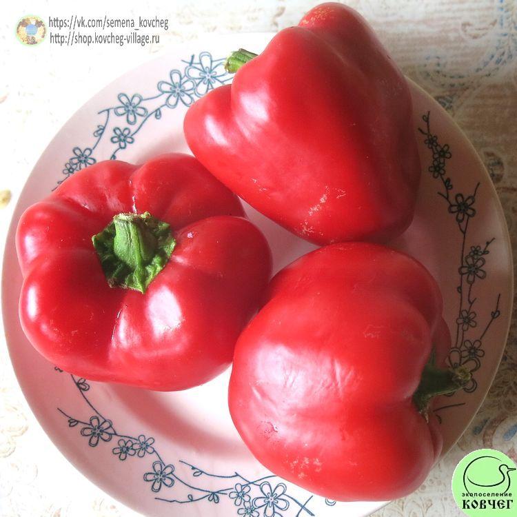 п20. Ратунда (4)_1_1 2021г. Семена перца сладкого Ратунда