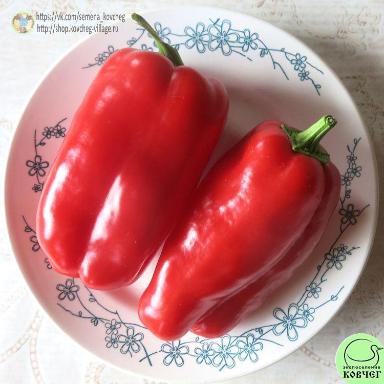 п7. Гранова (4)_1_1 2024г. Семена перца сладкого Гранова