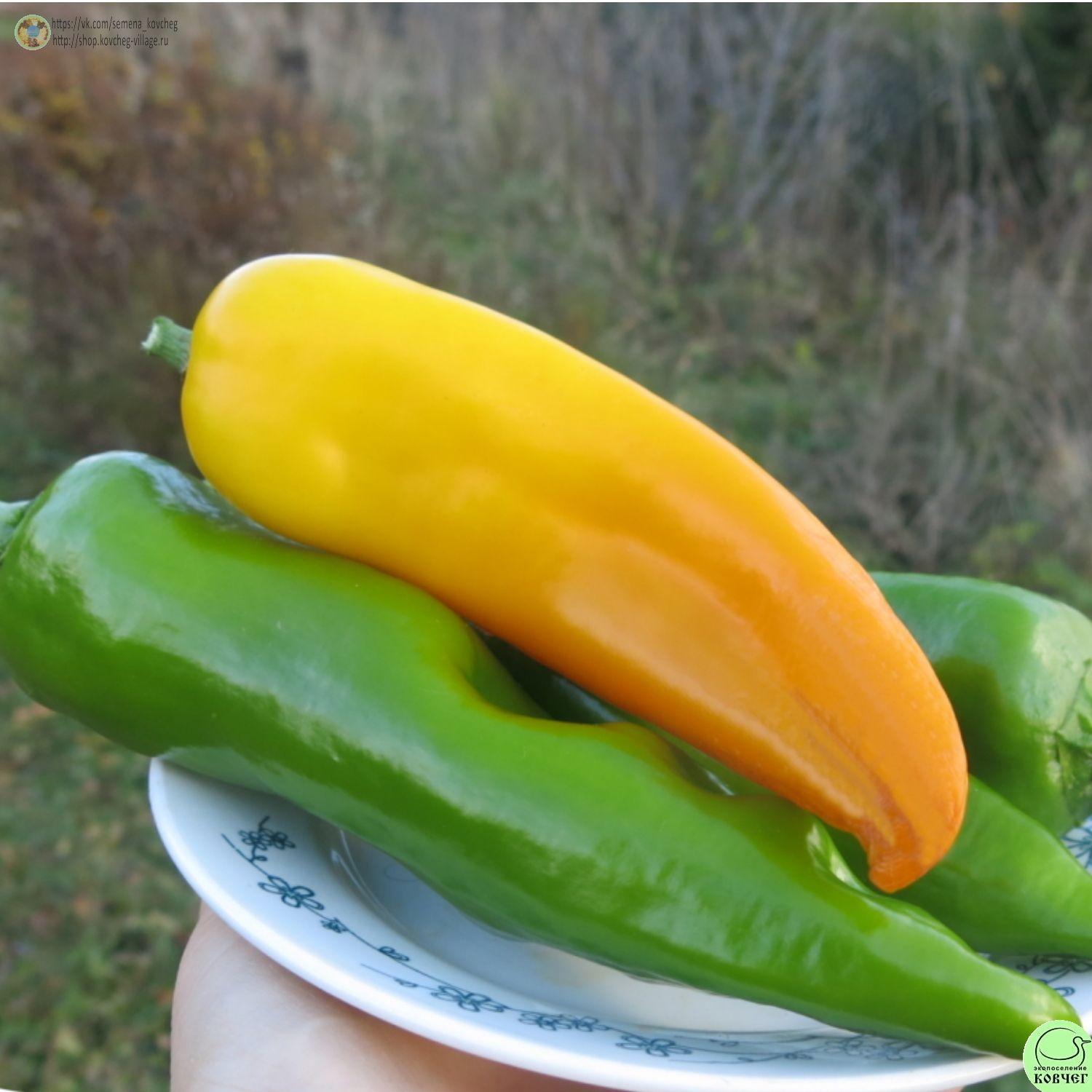 п9. Золотой ключик (9)_1 2021г. Семена перца сладкого Золотой ключик