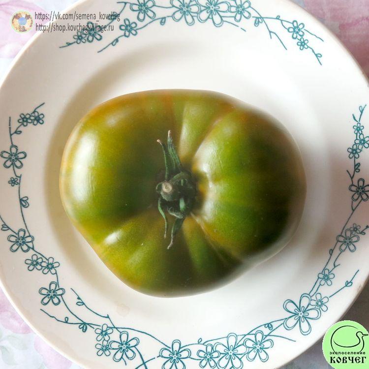 20(17)~1_1_1 2022г. Семена томата Зелёная тайна личинки