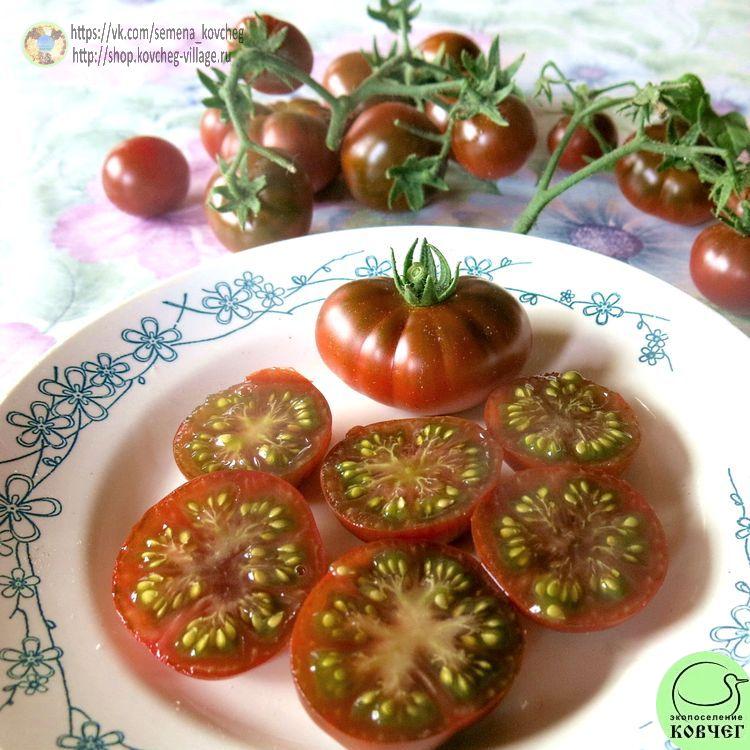 56. ПУРПУРНЫЙ СМОГ (15)-_1_1 Семена томата Пурпурный смог