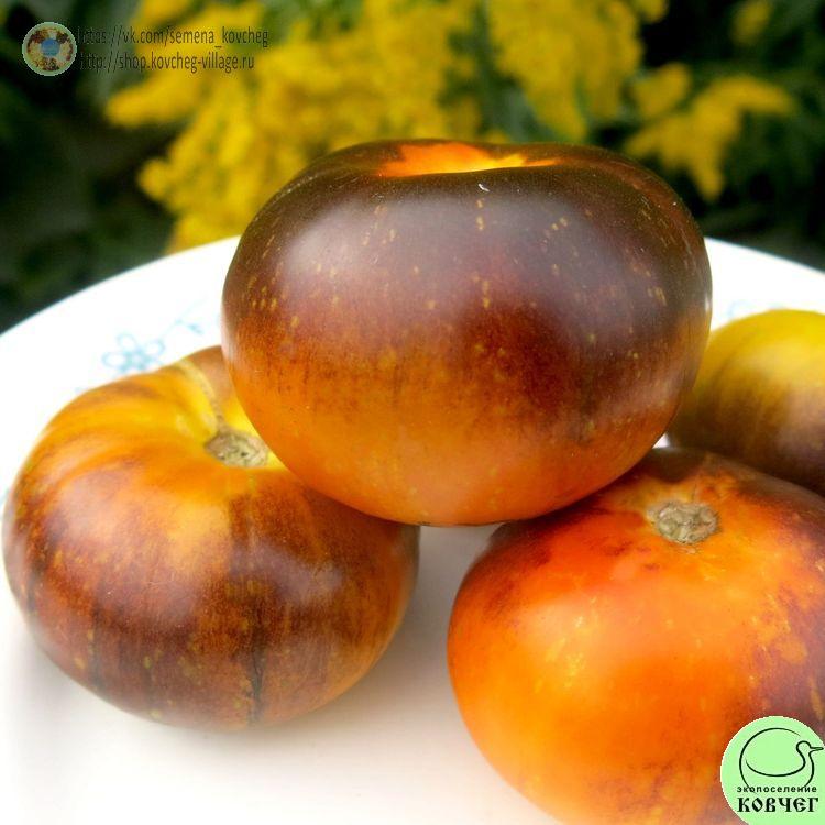 59. Синий и жёлтый (4)-_1_1 Семена томата Синий и жёлтый