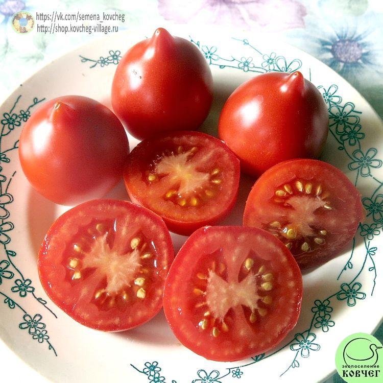 Юбилейный Тарасенко-_1_1 2022г. Семена томата Юбилейный Тарасенко