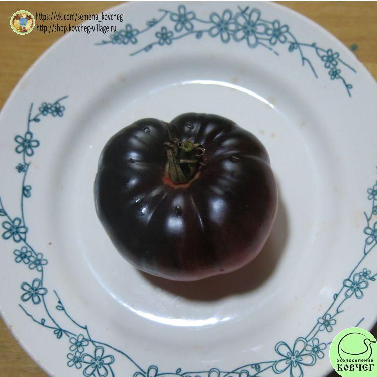 15. ДОРОГА СКОТДЕЙЛ (11)_1_1 2023г. Семена томата Дорога Скотдейл