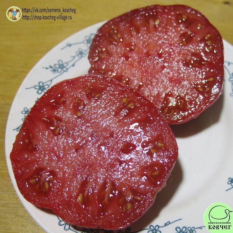 15. ДОРОГА СКОТДЕЙЛ (2)_1_1 2023г. Семена томата Дорога Скотдейл