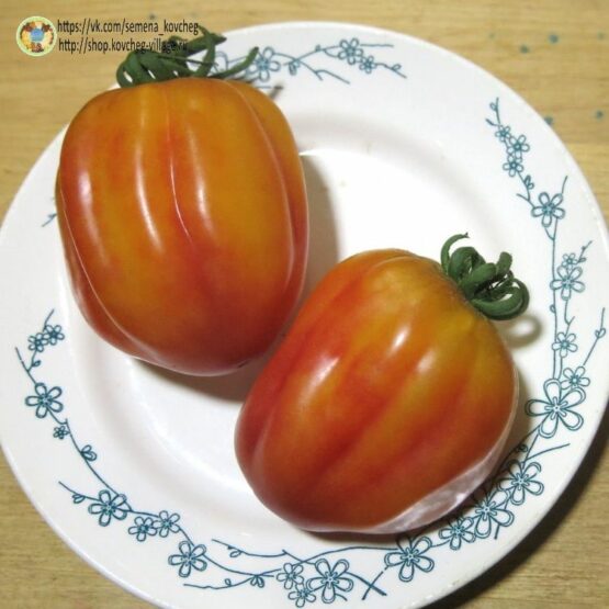 2023г. Семена томата Калифорнийский тюльпан