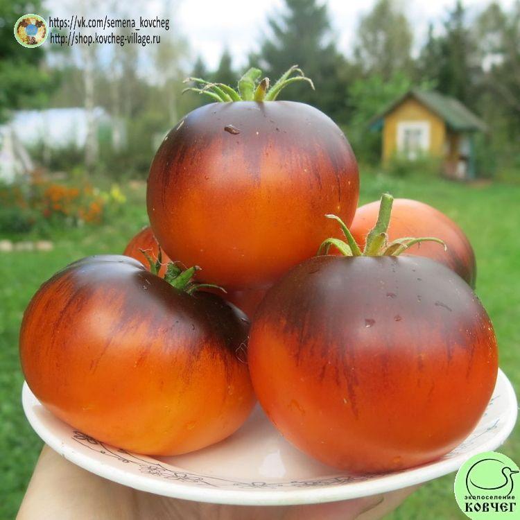 35. Мечта Алисы (12)_1_1 2023г. Семена томата Мечта Алисы