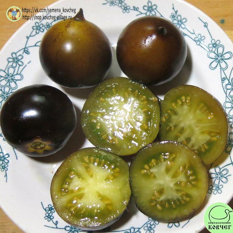 38. Н- 34 ЖЁЛТЫЙ (12)_1_1 2023г. Семена томата Н-34 жёлтый