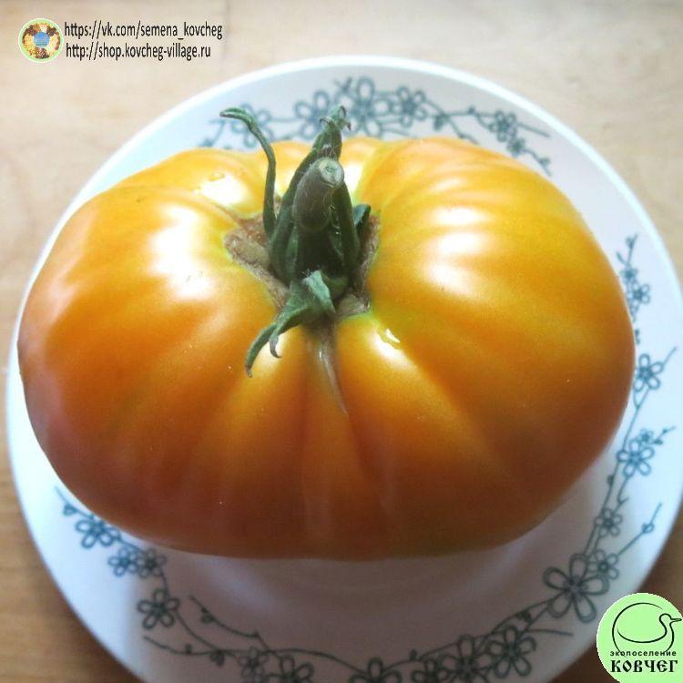 45. Оранжевый гигант (6)_1_1 2023г. Семена томата Оранжевый гигант