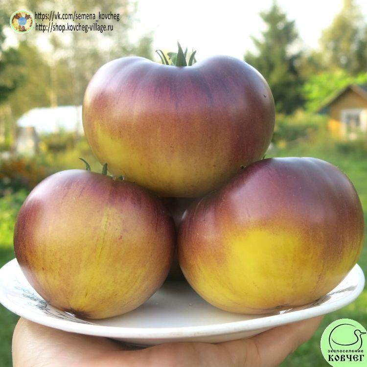 52. САРТ РОЛОЙЗ (6)_1_1 2023г. Семена томата Сарт Ролойз