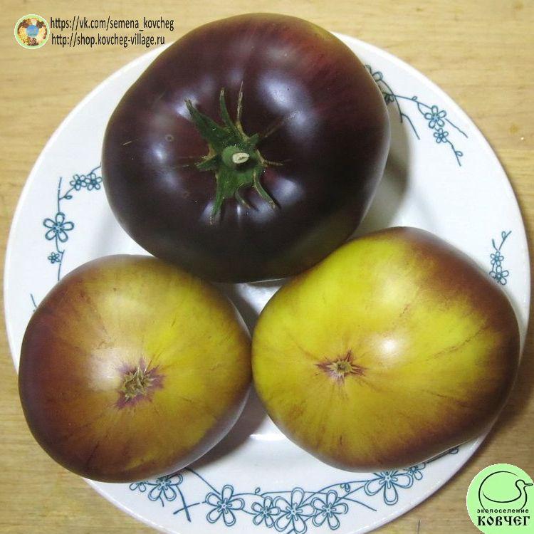 52. САРТ РОЛОЙЗ (8)_1_1 2023г. Семена томата Сарт Ролойз