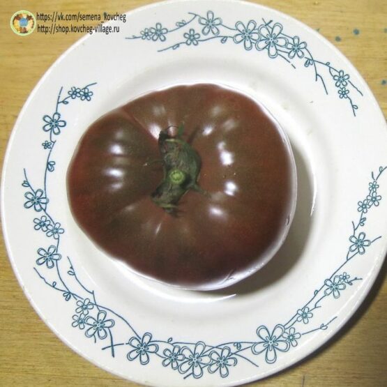2023г. Семена томата Во сто крат шоколадный