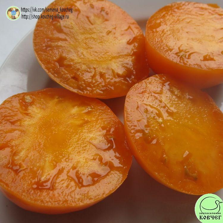 65. Юко совершенная хурма (20)_1_1 2023г. Семена томата Юко совершенная хурма