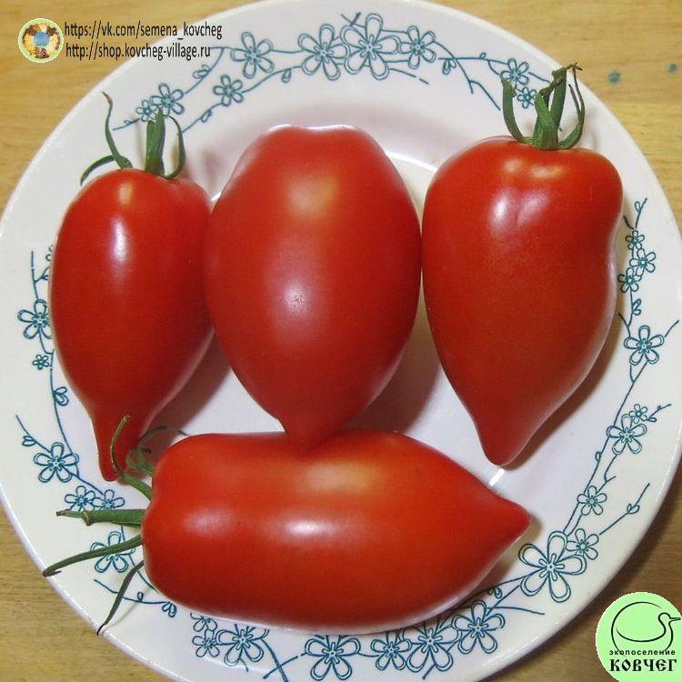 7. ВЬЕТНАМСКИЙ (10)_1_1 2023г. Семена томата Вьетнамский