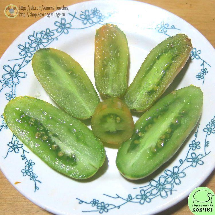 14. Зелёная сосиска (8)_1 2024г. Семена томата Зелёная сосиска