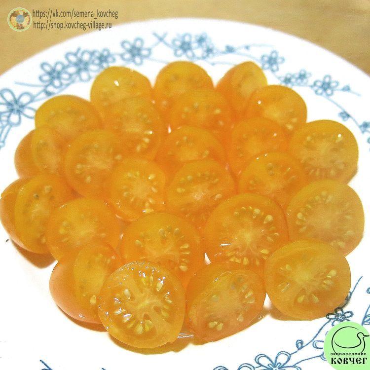 16. Ильди (12)_1 2024г. Семена томата Ильди