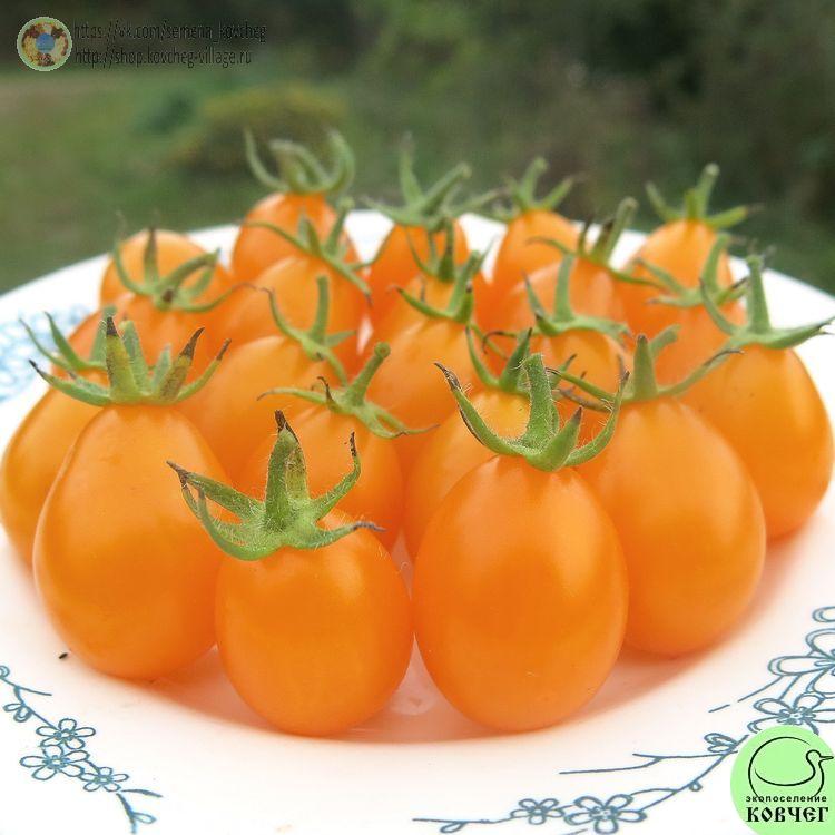 16. Ильди (7)_1 2024г. Семена томата Ильди