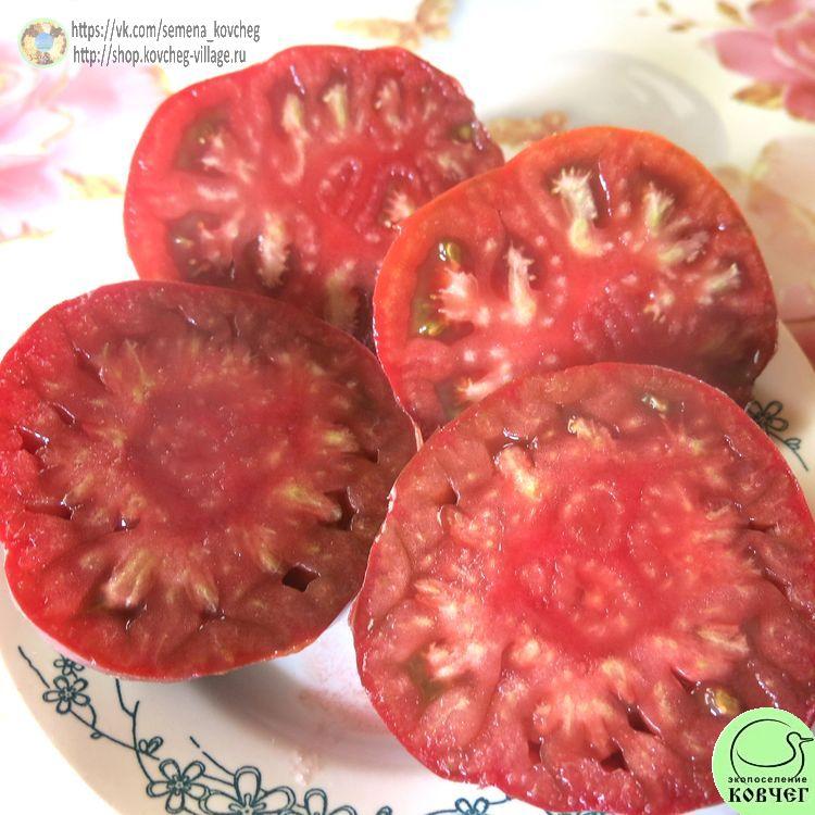 18. ИНДИРА ГАНДИ (16)_1 2024г. Семена томата Индира Ганди