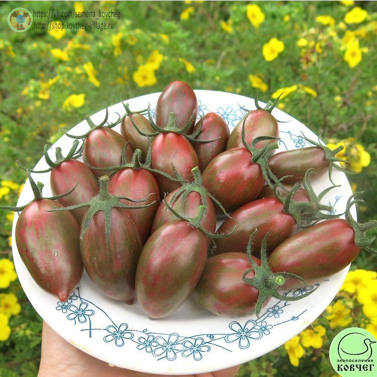 19. Конфеты сладкие сосульки (15)_1 2024г. Семена томата Конфеты сладкие сосульки