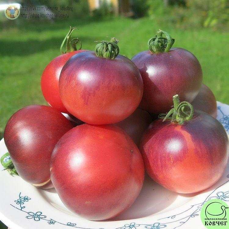 2. Аметист (11)_1 2024г. Семена томата Аметист