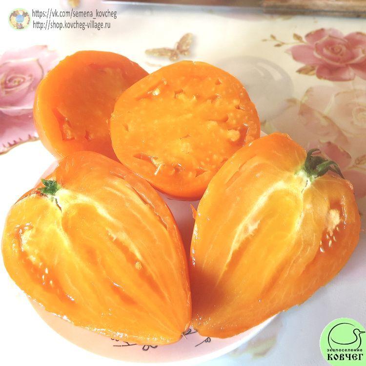 32. Ночная свеча (14)_1 2024г. Семена томата Ночная свеча