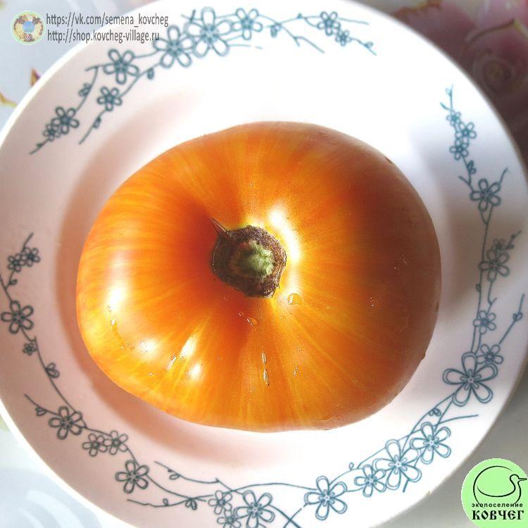 37. ПЛОЩАДЬ СВЯТОГО ИОАННА ДЕ БОРЕГАРД (13)_1 2024г. Семена томата Площадь святого Иоанна де Борегард